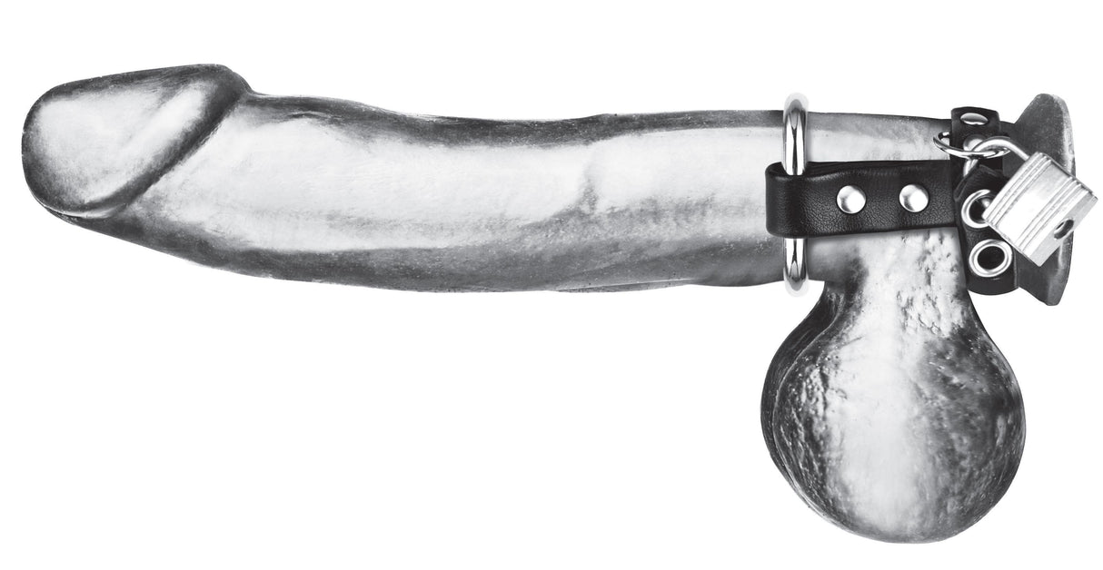 Metal Cock Ring with Locking Ball Strap