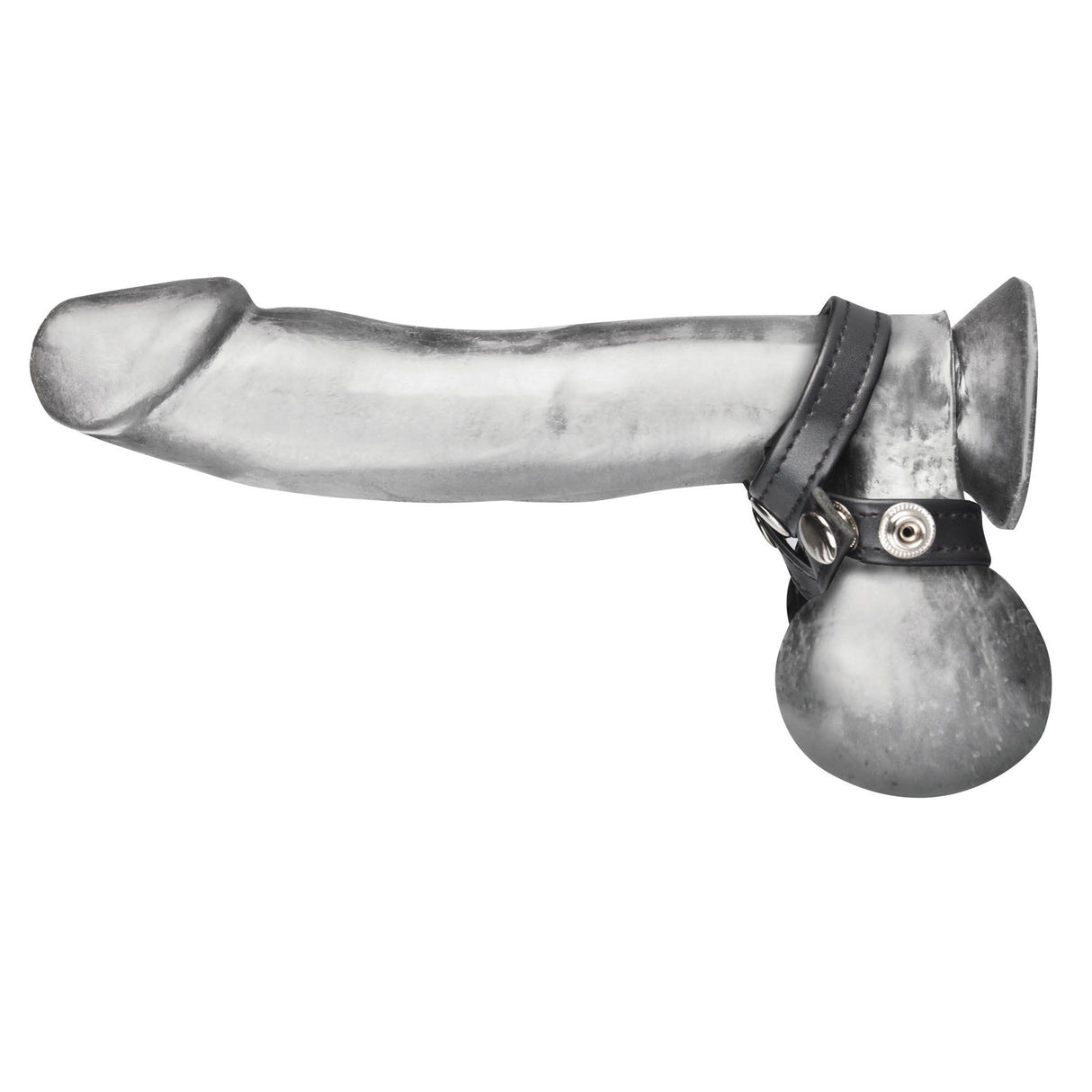 Blue Line Men 8-Style Ball Divider at glastoy.com