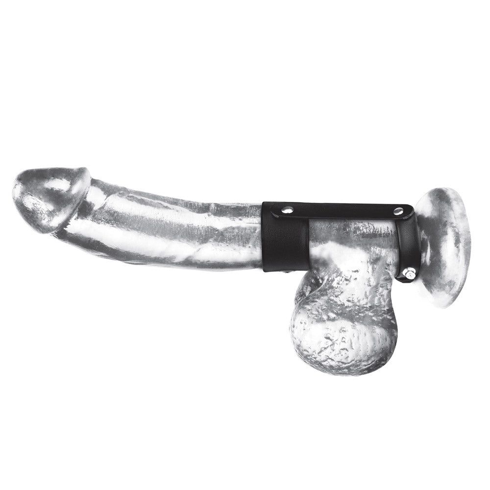 Shop the Blue Line Men Duo Cock & Ball Shaft Support at Glastoy.com