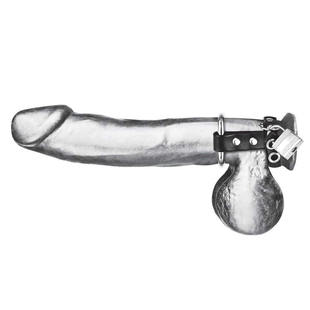 Shop the Blue Line Men Metal Cock Ring with Locking Ball Strap at Glastoy.com