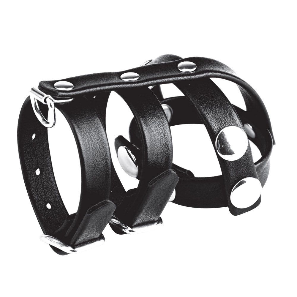 Shop the Blue Line Men Double Cock & Ball Strap With Leash Lead at glastoy.com