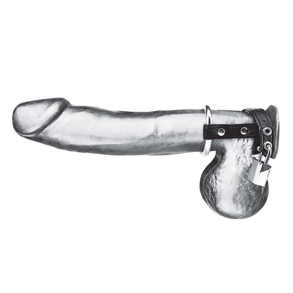 Shop the Blue Line Men Duo Cock & Ball Ring with Lock at glastoy.com