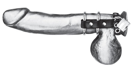 Double Metal Cock Ring with Locking Ball Strap