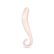 Iridescent G-Spot Glass Dildo on a white background