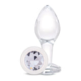 Rear Sparkle Butt Plug