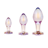 Twilight_Aura_Butt_Plug_Scale