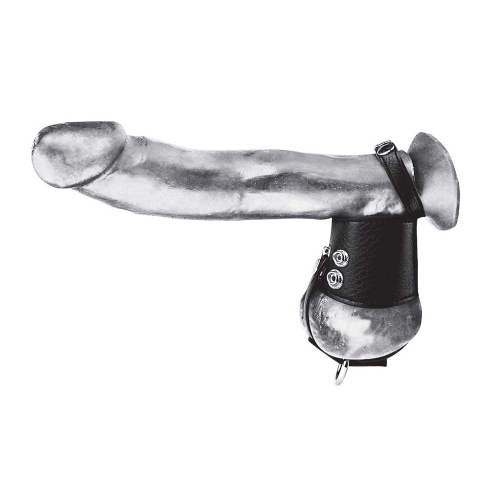 Dildo wearing the Blue Line Cock Ring With 2" Ball Stretcher And Optional Weight Ring