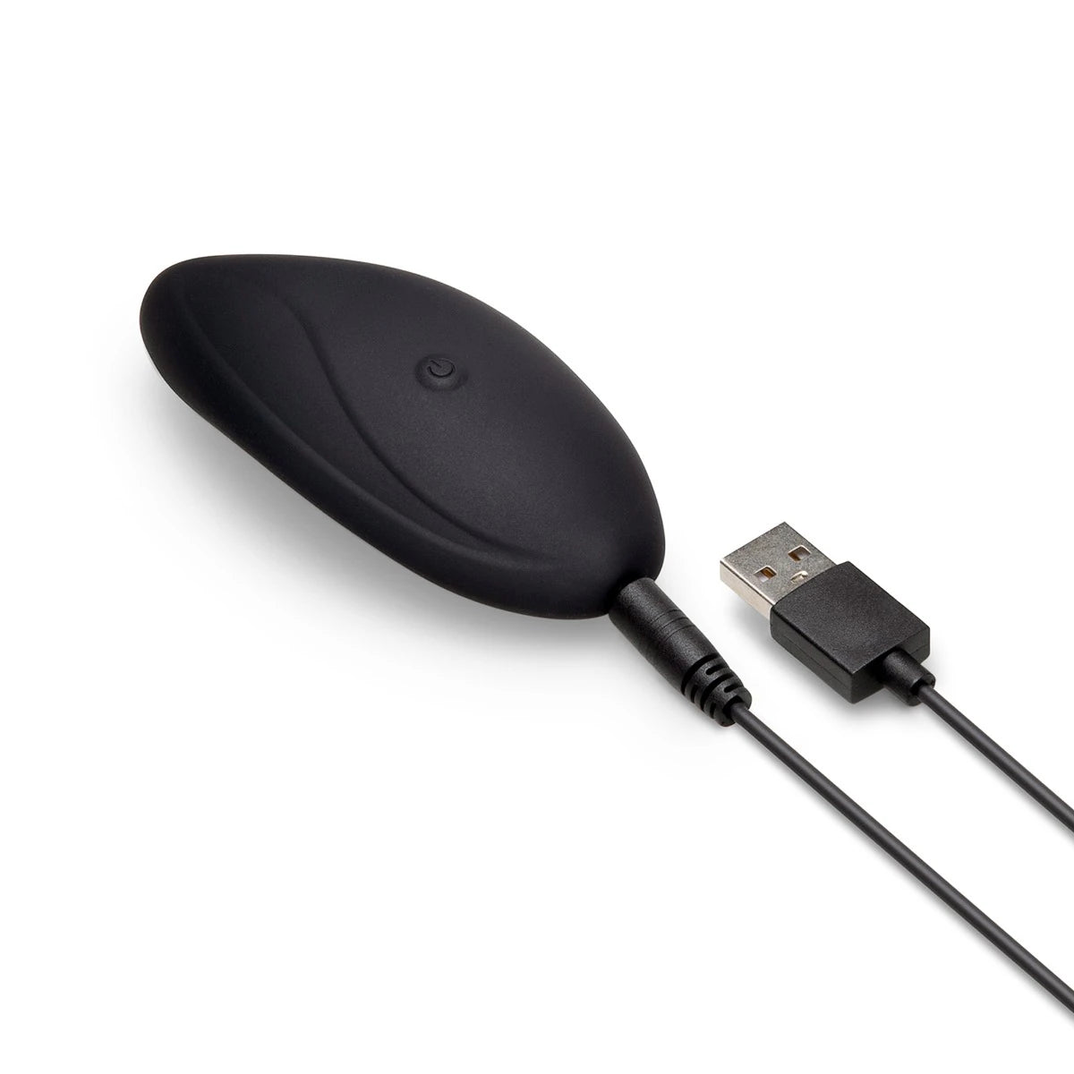 Le Wand panty vibrator with charging cable.