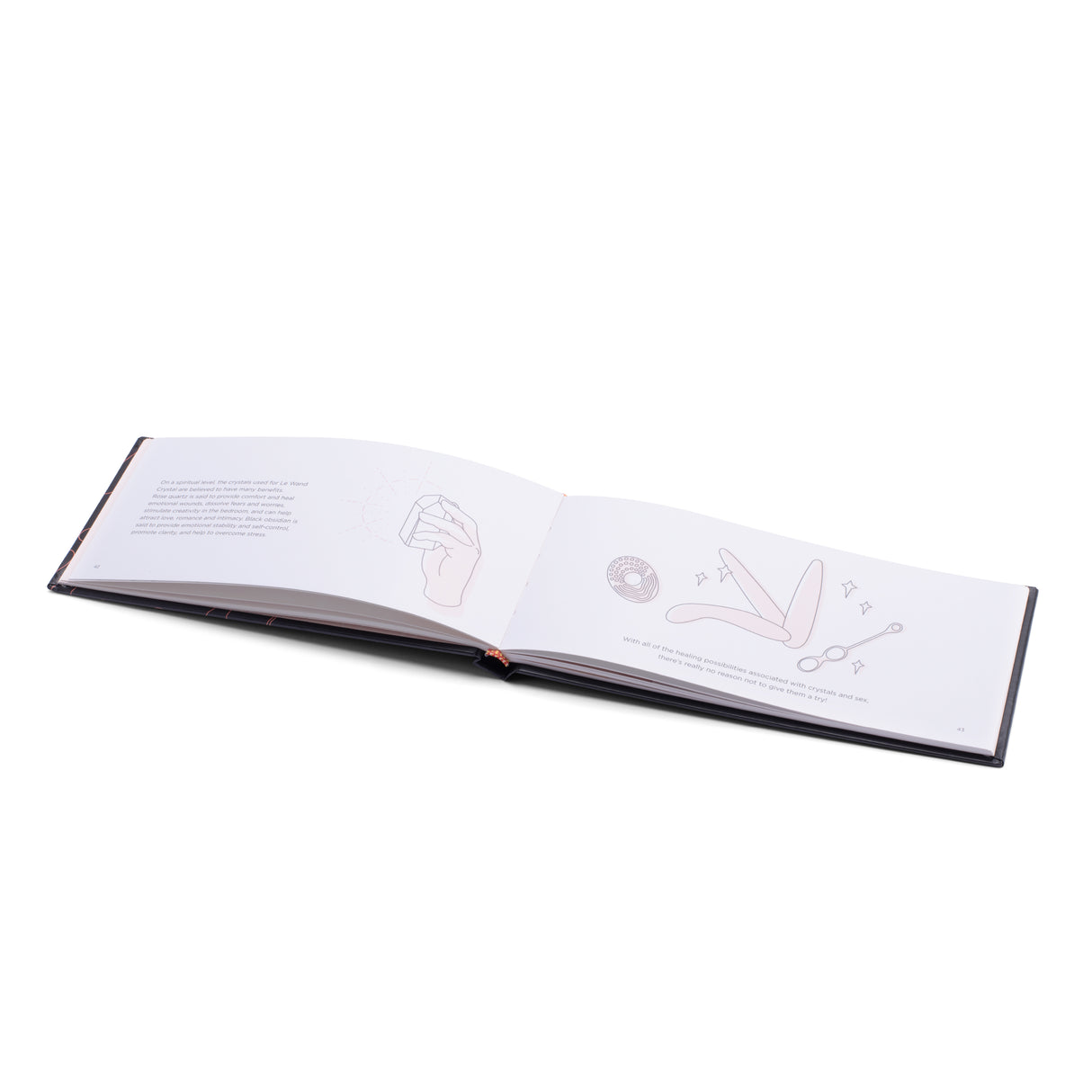 Le Wand Crystal Yoni Eggs (Black)