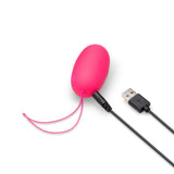 Remote Control Vibrating Love Egg