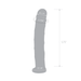 Size and measurements of the Gläs 6.5 inches Textured Realistic Dildo