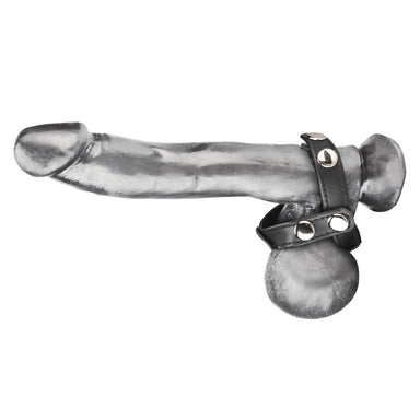 Blue Line Men T-Style Cock Ring with Ball Divider at Glastoy.com