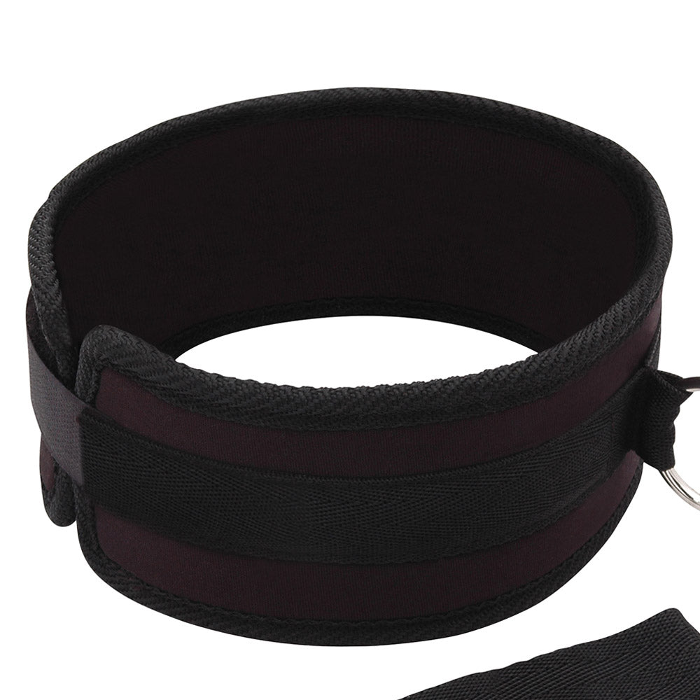 Shop the Lux Fetish Collar And Leash Set at glastoy.com